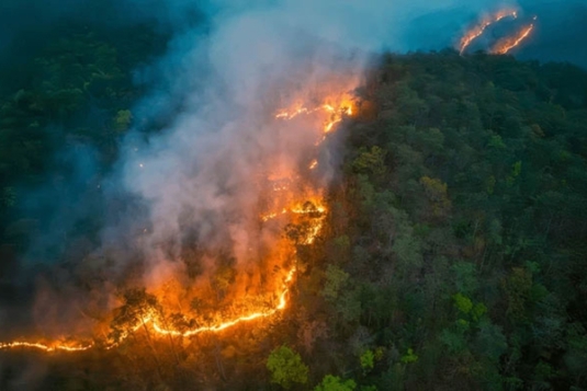 Wildfires in California